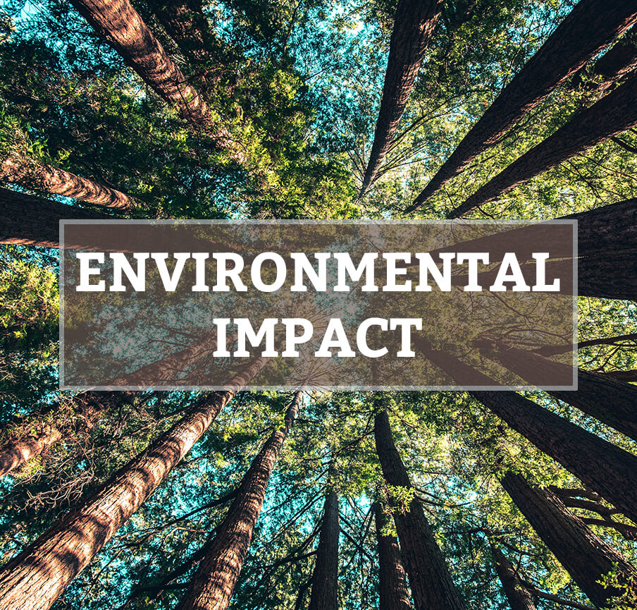 environmental impact