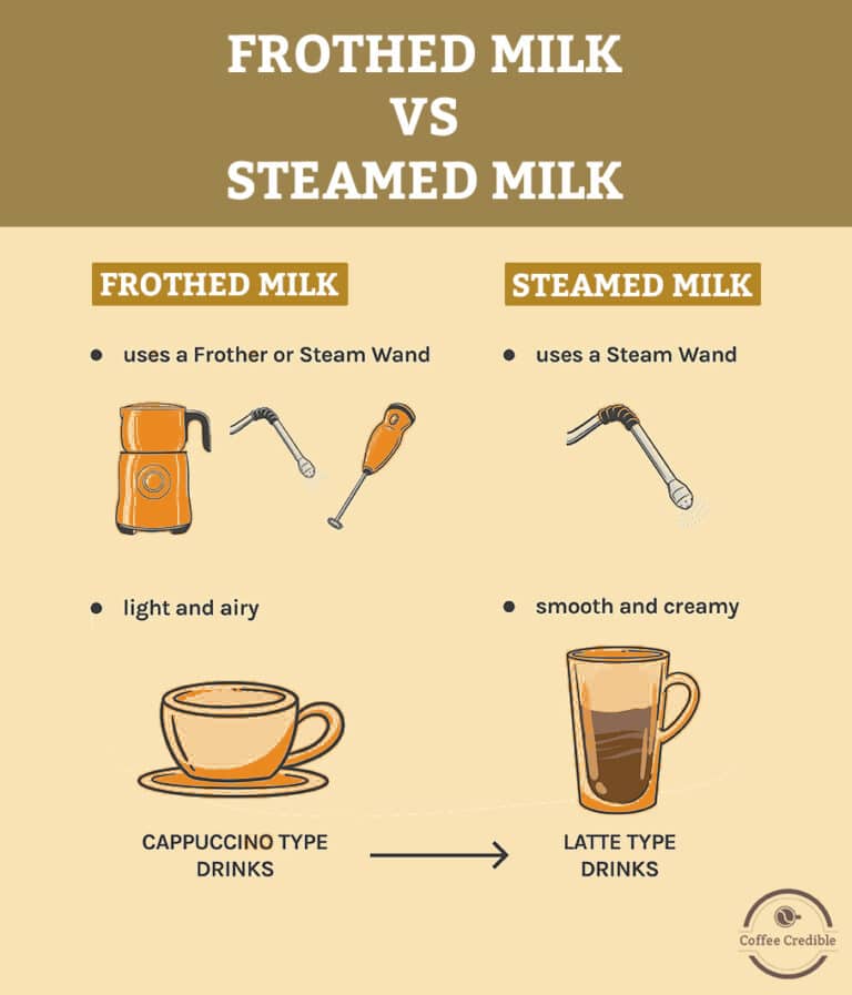 Frothed milk vs steamed milk