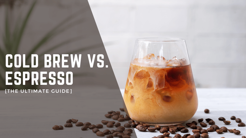 Cold Brew VS Espresso [The Ultimate Guide]